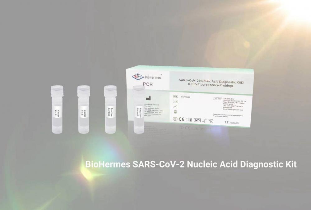 Test d'amplification d'acide nucléique SARS-CoV-2