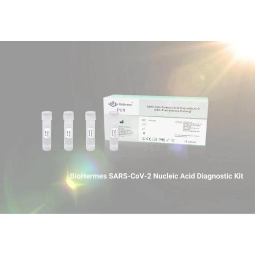 SARS-CoV-2 Nucleic Acid Amplification Test