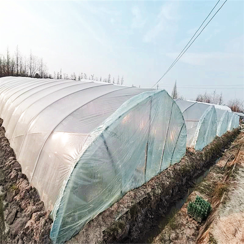 Biodegradable greenhouse plastic film (5)