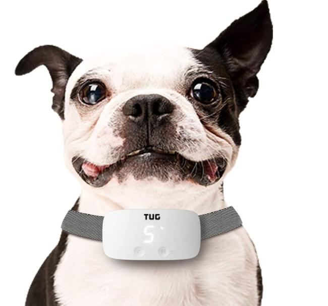 Stop Barking Dog Collar9162023