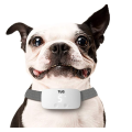 Collier d&#39;écorce de chien rechargeable amélioré