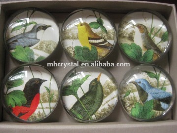 Vintage birds favor crystal glass magnet MH-QT0373