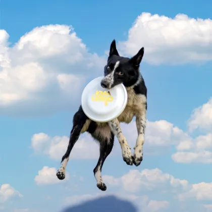 Rubber Dog Frisbee Toy - 8.5 Inch Durable Flying Disc