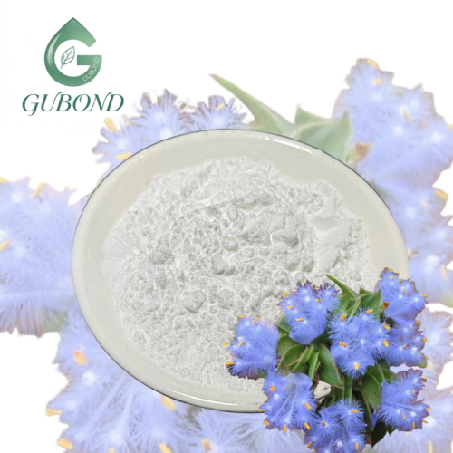 Порошок экдистерона из экстракта Cyanotis Arachnoidea