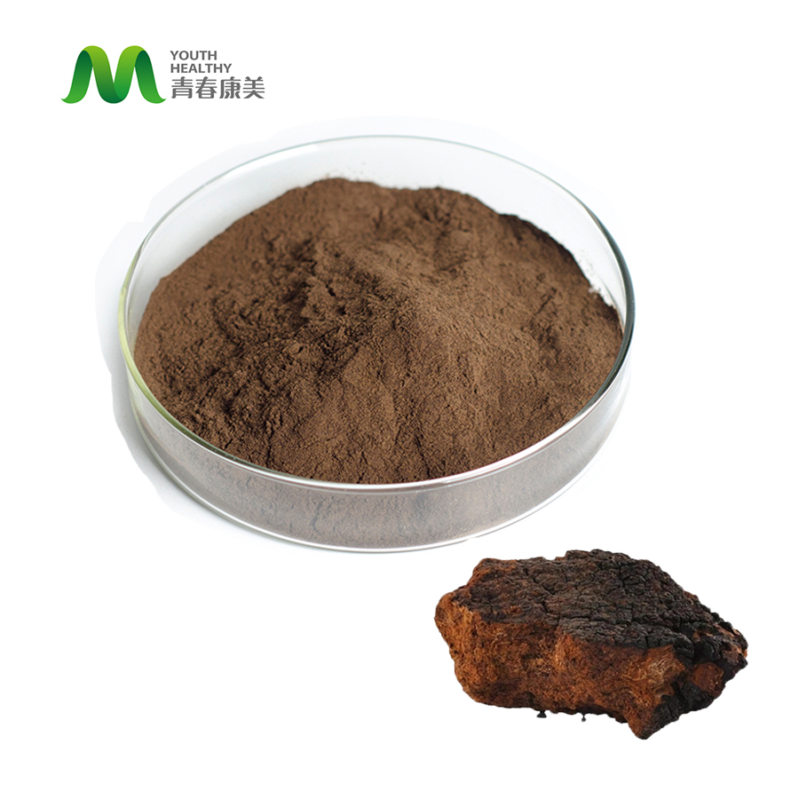 Herbal Extract Chaga Mushroom Extract