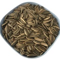 Common Sunflower Seeds Type 361 For Sale