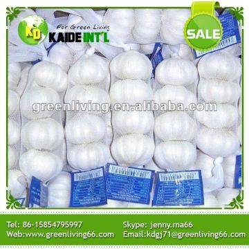 Buy Bulk Natural Garlic Price
