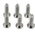 Cross pan head self-tapping stainless steel screws