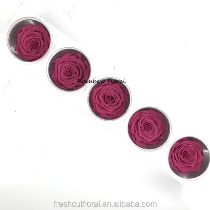 Kunming Wholesale Stabilized Flowers & Preserved Roses