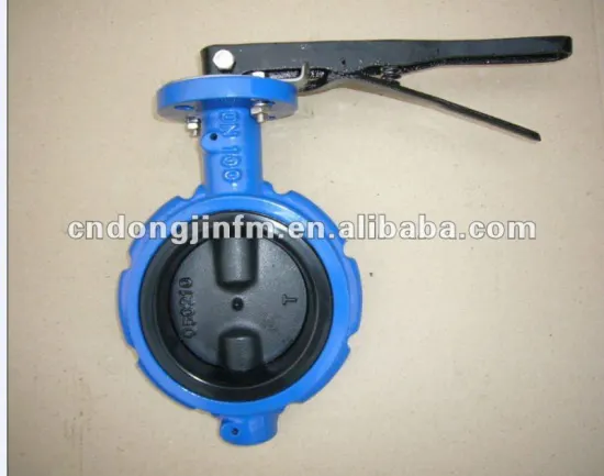 Soft seal butterfly valve