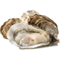 Oyster Meat Extract Powder Oyster Protein Peptide