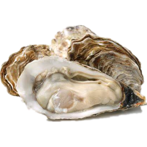 Oyster Meat Extract Powder Oyster Protein Peptide