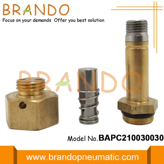 Pulse Valve Repair Kit Brass Pilot Armature Assembly