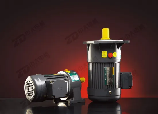 AC gear motor