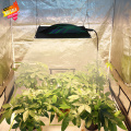 Diy Indoor Herb Garden With Grow Light