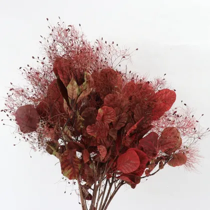 Wholesale Eternal Flower Smoke Tree for Floral Arrangements