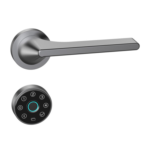 Smart Lock mit Fingerabdruckerkennung