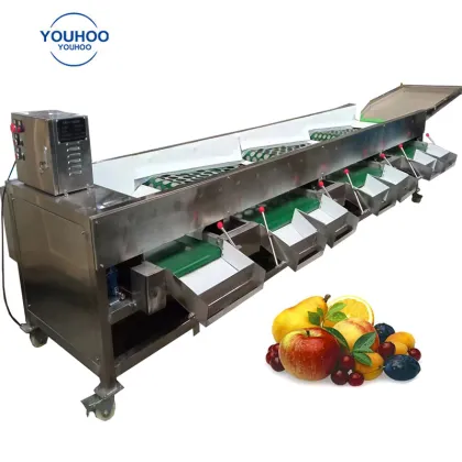 Automated Date Sorting and Grading Machine for Palm Dates and Red Dates