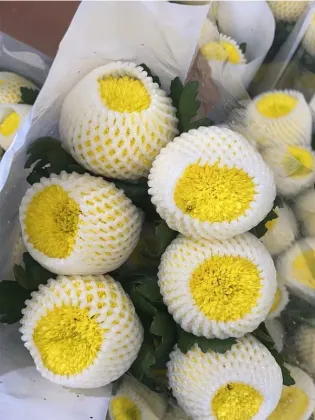 Standard chrysanthemum Ping-Pong yellow