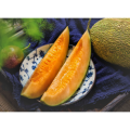 Cucumis Melo Muskmelon Extract