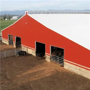 Steel Structure Cowshed