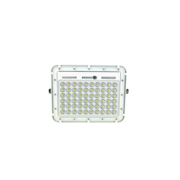 New Attractive Design Solar Flood Light - IP66 Waterproof Outdoor LED Solar Lighting