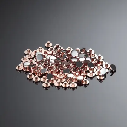 JIELI SCM Contact Silver Electrical Contact Rivets for Low Voltage Products