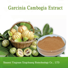 Garcinia Cambogia Extract HCA 50% Hydroxycitric Acid
