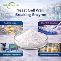 Yeast Cell Wall Breaking Enzyme