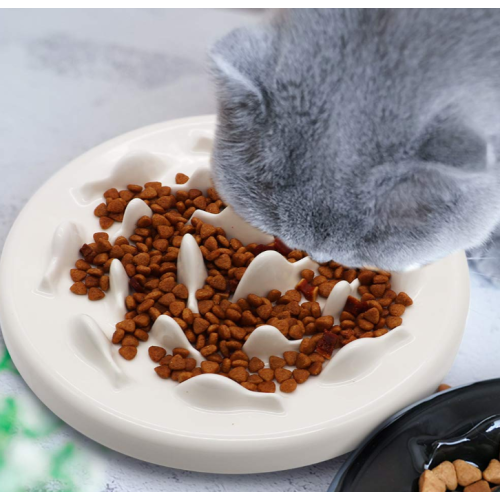 Keramik kucing lambat mangkuk