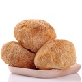 Estratto di funghi Hericium in polvere