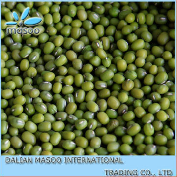 New Crop Chinese Green Vigna Beans