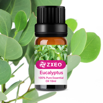 Premium Grade Pure Eucalyptus Essential Oil Natural Eucalyptus Globulus Oil for Aromatherapy Massage oil