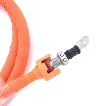 Electric Vehicle Wiring Harness High Voltage EV Wiring Harness Assembly Manufactory