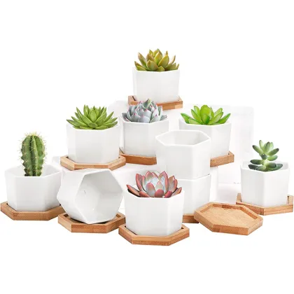 Modern White Ceramic Flower Pot with Bamboo Tray for Succulents