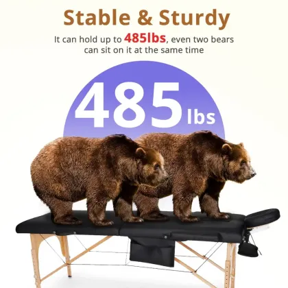 Wholesale Portable Brown Massage Spa Bed