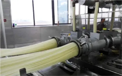 Semi-dry Ramen Production Line