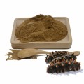 Sea cucumber Extract Powder 15% protein 20% polysaccharide