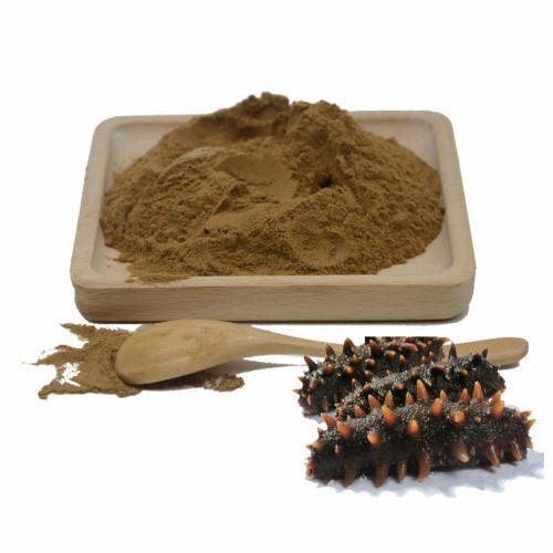 Sea cucumber Extract Powder 15% protein 20% polysaccharide