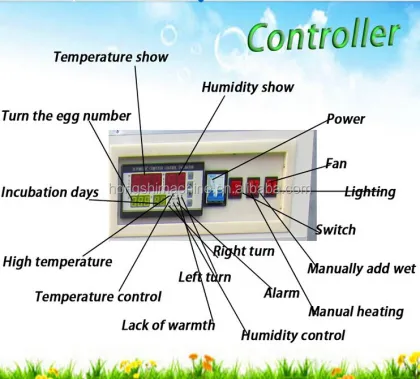 Medium-Sized Incubator Eggs Incubator for Poultry Equipment
