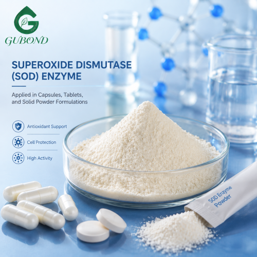 Mezcla de enzimas limpiadoras de sangre en polvo para formulaciones de suplementos dietéticos