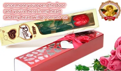 18g chocolate/chocolate candy/Hollow Rose Chocolate/chocolate prices