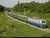 fobshenzhen to chukursai railway transport service