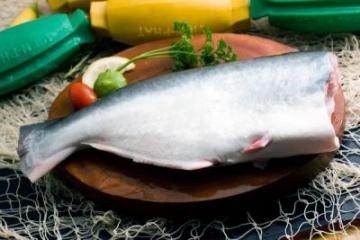 Pangasius HGT