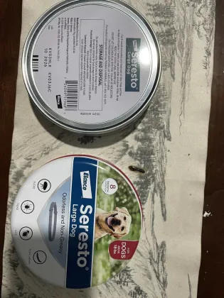 Adjustable Dog Flea collar cat tick collar Natural Flea Collars for Dogs Flea and Tick Prevention with 8 months