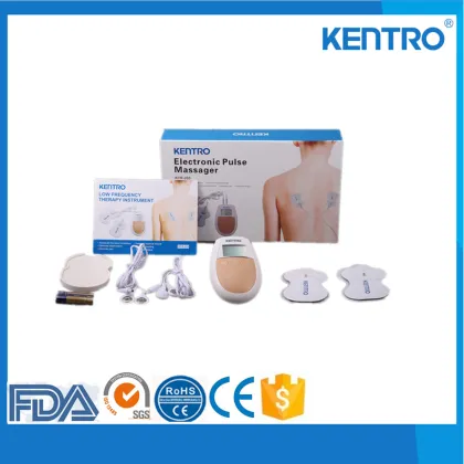 FDA physiotherapy muscle stimulator acupuncture points EMS/TENS Units