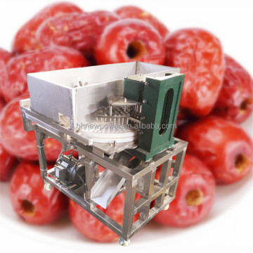 Middle East Medjool Dates and Jujube Seed Removal Processing Line
