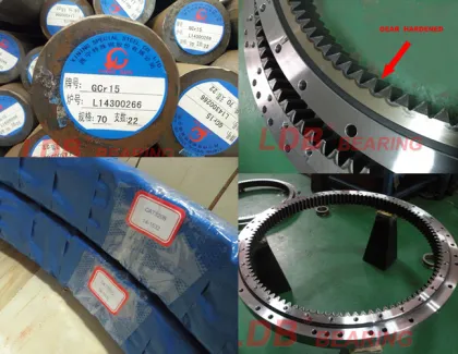 Case Excavator Swing Bearing