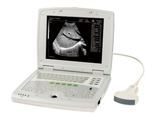 Full Digital B Mode Ultrasonic Diagnostic Instruments (Am-5000V) Vet