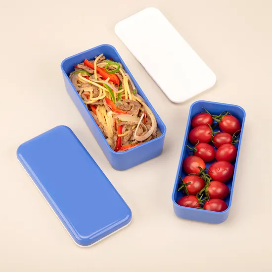 Leak-Proof Bento Box: 2-Tier Japanese Lunch Container with Moveable Partition
